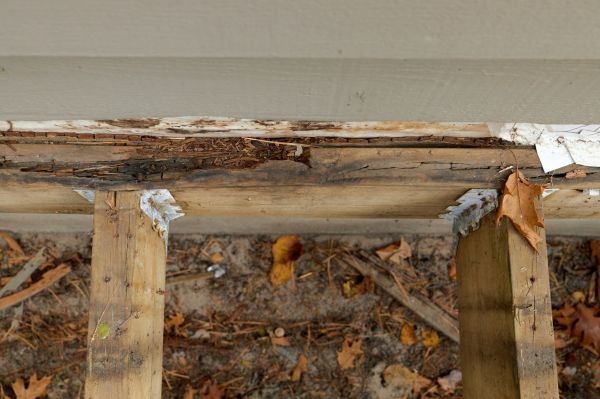 Anchorage Wood Rot Repair