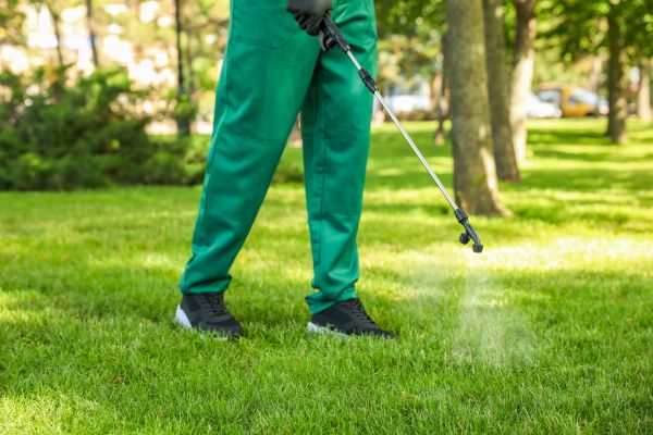 Anchorage Lawn Treatment